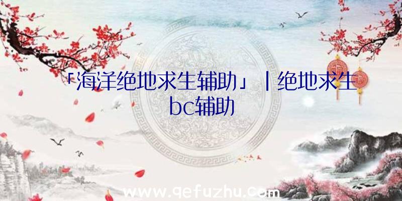 「海洋绝地求生辅助」|绝地求生bc辅助